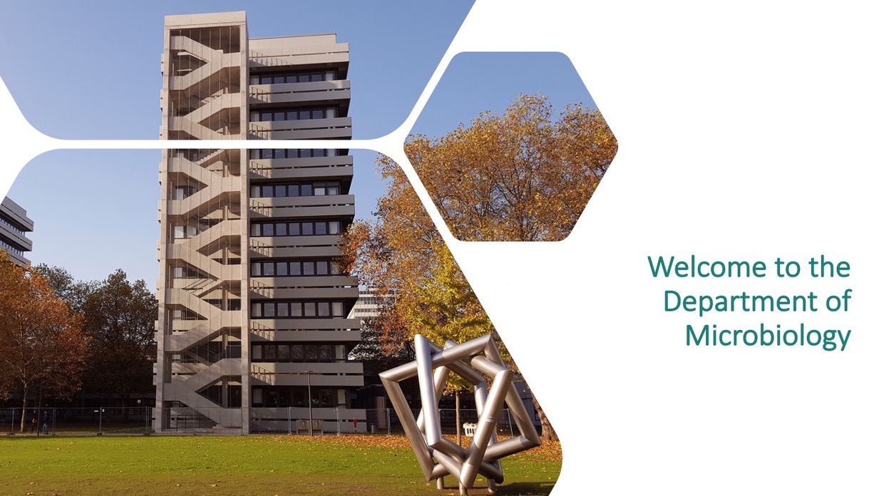 Reinhard Fischer institute